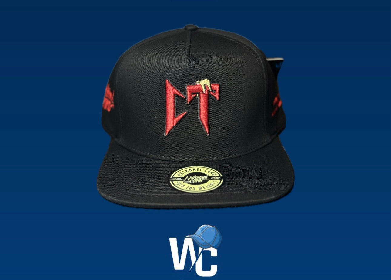 CORRIDOS TUMBADOS CONCIERTO