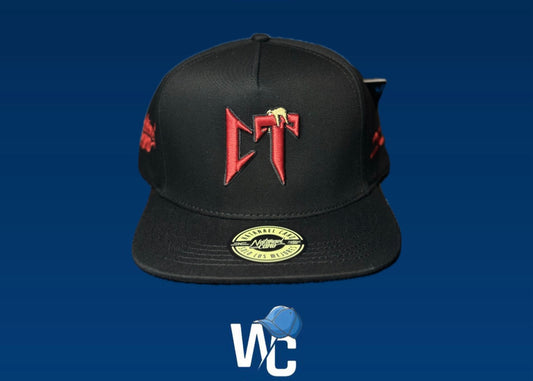 CORRIDOS TUMBADOS CONCIERTO